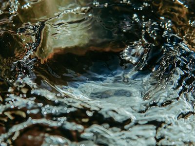 Smooth geometric lines representing fluid and natural body motion